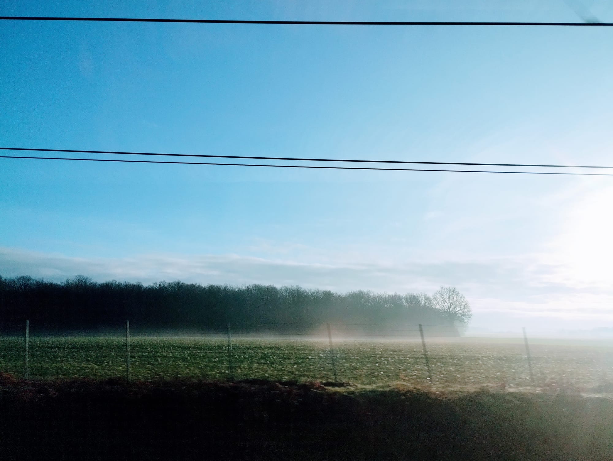 Scenic landscape of a field with a copse on the horizon, partially obscured by morning fog, under a bright blue sky, with power lines in the foreground.