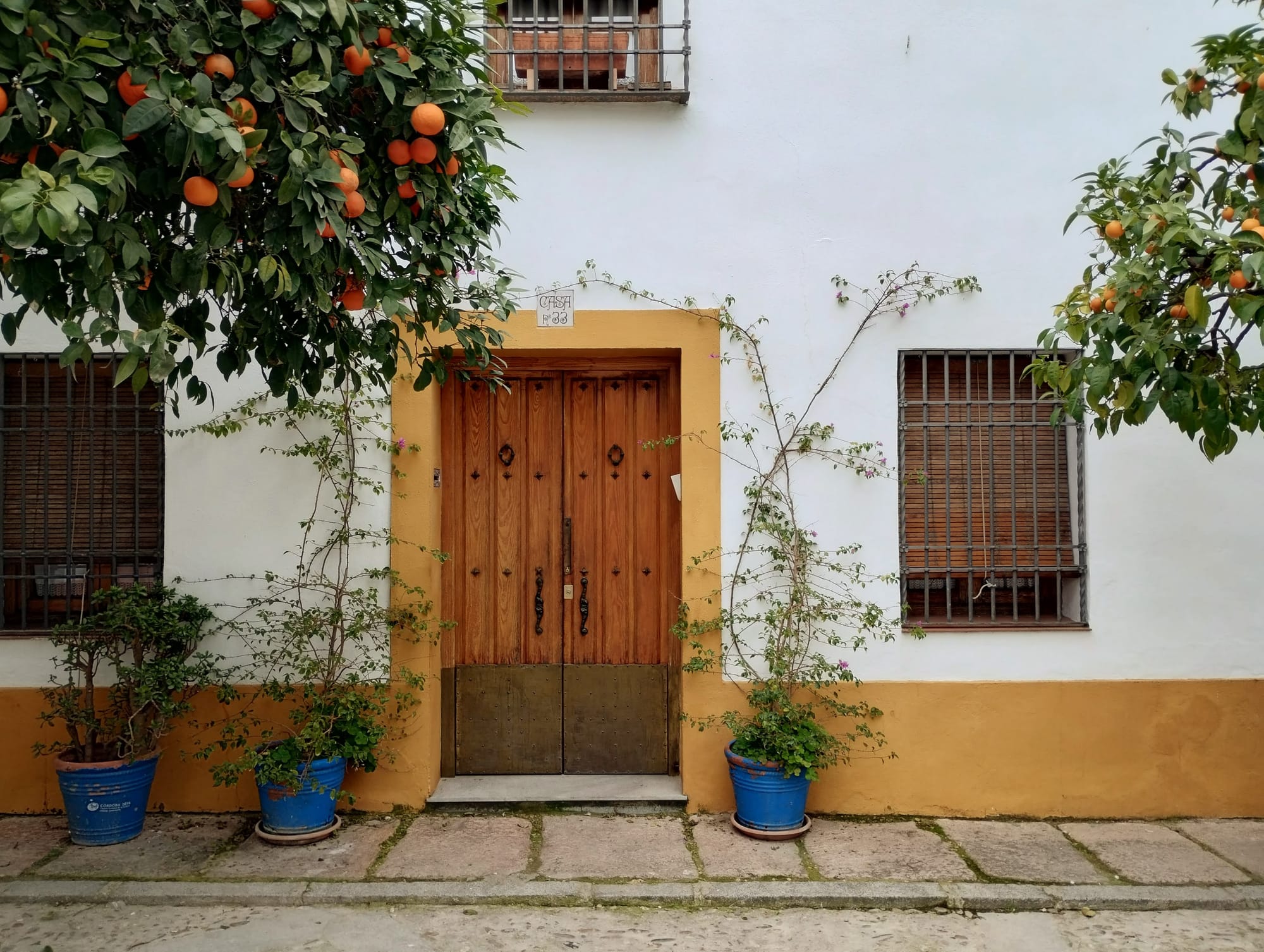 Exterior of a building featuring a wooden door, two shuttered windows with metal grates, and orange trees with ripe fruit, against a white and yellow wall, blue ceramic pots of greenery on the brick pavement in front.