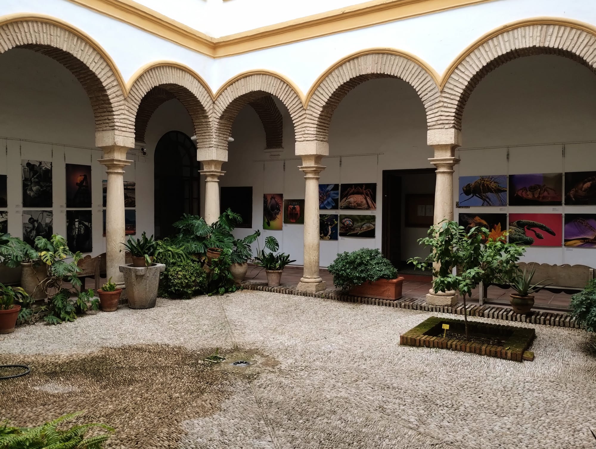 An interior courtyard with arched colonnade surrounding a pebble-covered patio, displaying photographic art pieces on the white walls, with potted plants throughout.