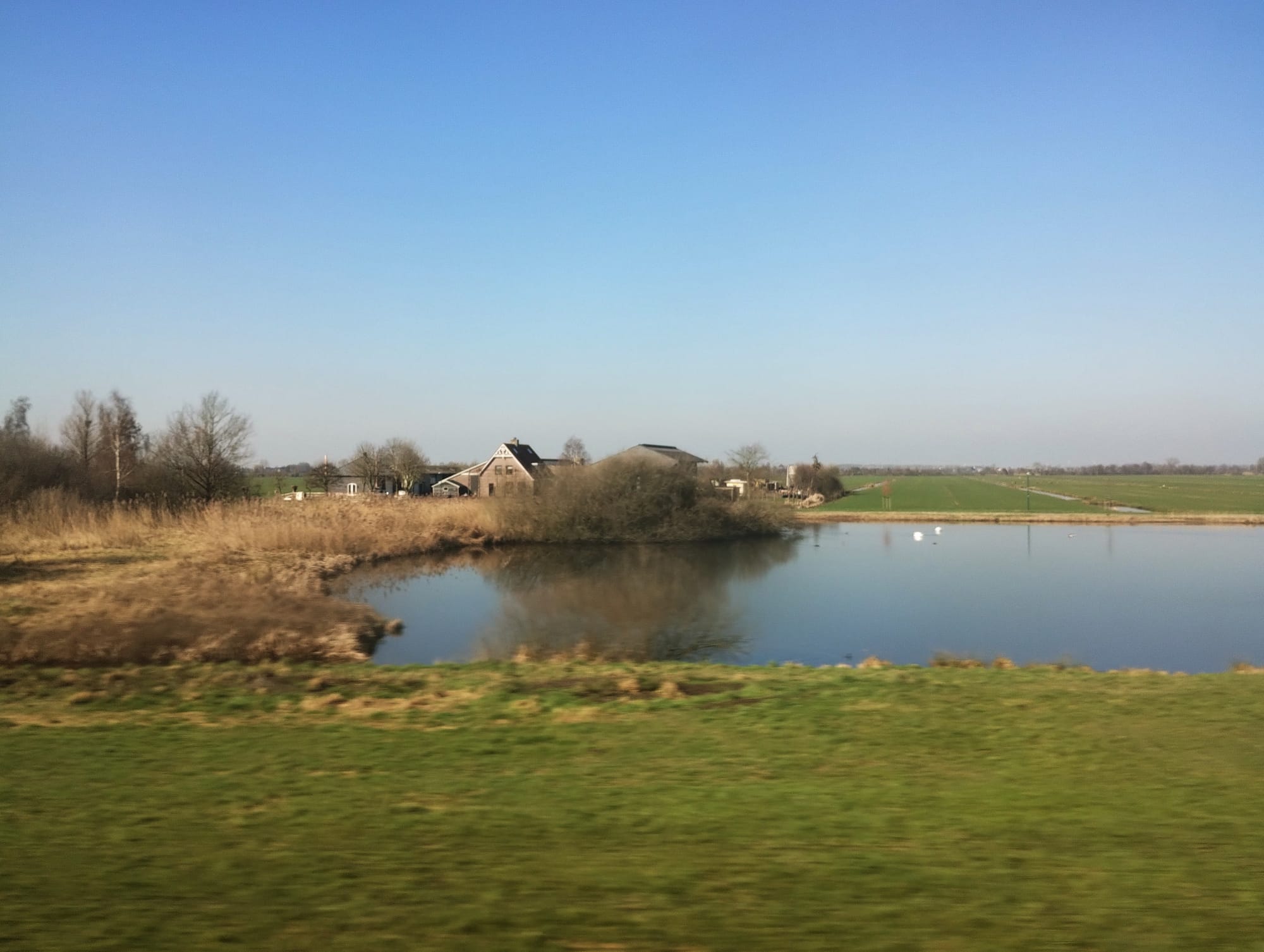 Scenic view of a lake with a farm in the background, surrounded by perfectly flat, featureless green fields and trees under a clear blue sky.