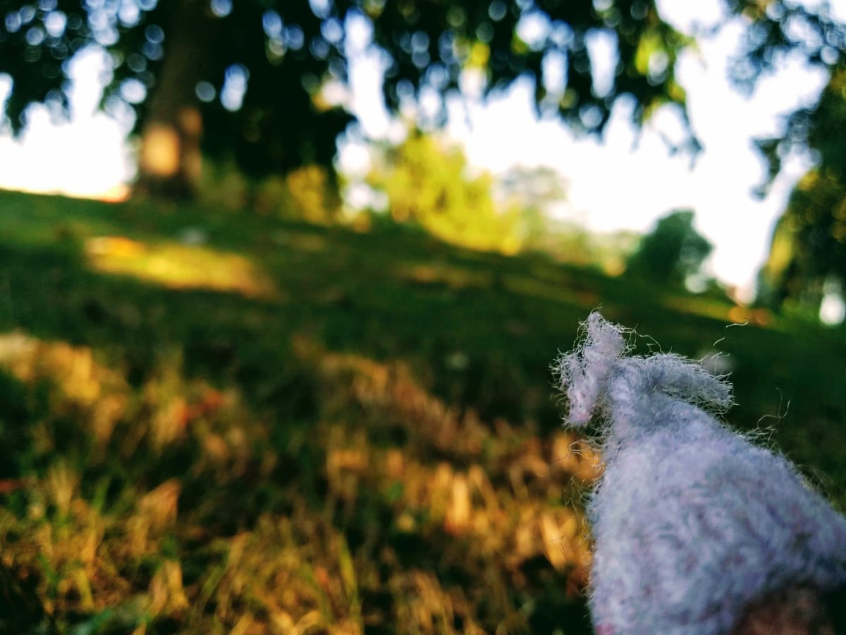 Day twenty-five: Dirksland