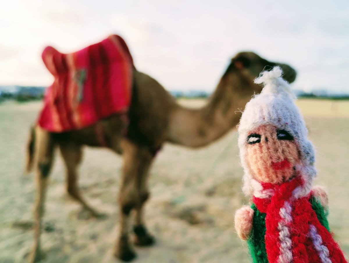 Morocco, day twenty: Tangier